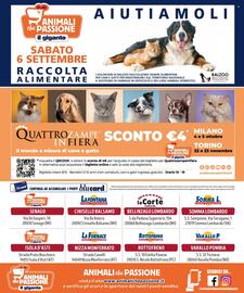 Volantino Il Gigante Pagina 8