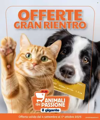 Volantino Il Gigante (valido fino al 1-10)