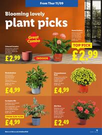 Lidl leaflet week 37 Page 21