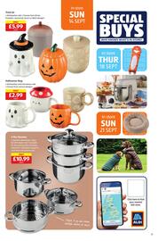 Aldi leaflet week 37 Page 22
