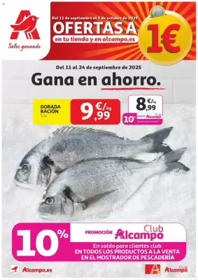 Folleto Alcampo
