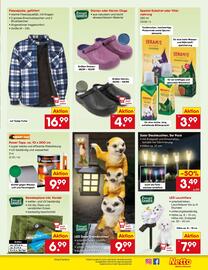 Netto Marken-Discount Prospekt woche 37 Seite 43