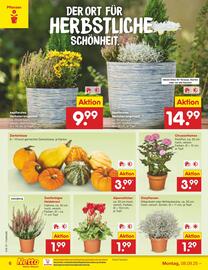 Netto Marken-Discount Prospekt woche 37 Seite 6