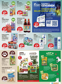 V Markt Prospekt woche 37 Seite 11