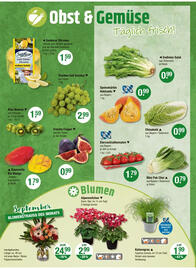 V Markt Prospekt woche 37 Seite 4