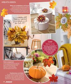 Poco Magazin Seite 34