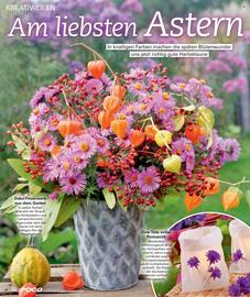 Poco Magazin Seite 52