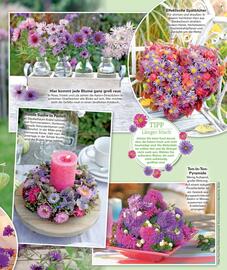 Poco Magazin Seite 53