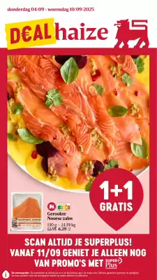 AD Delhaize folder (geldig t/m 10-09)
