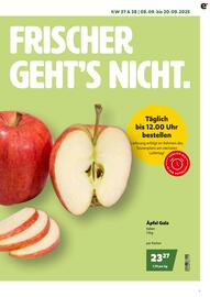 Eurogast Grissemann Flugblatt Seite 3