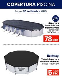 Volantino Paniate Pagina 12