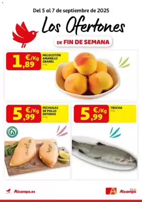 Folleto Alcampo (válido hasta el 7-09)