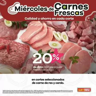 Catálogo Surtimax (válido hasta 1-01)