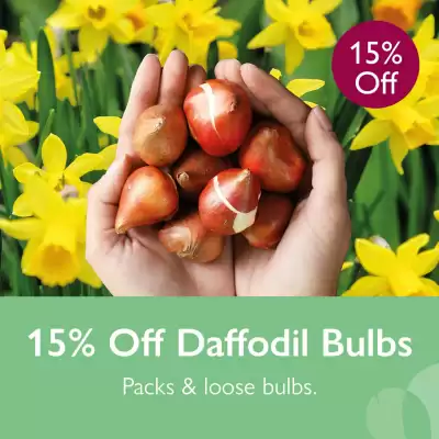 Squires Garden Centres leaflet (valid until 17-09)