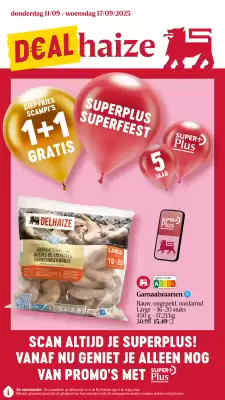 Delhaize folder (geldig t/m 17-09)