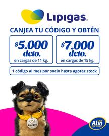 Catálogo Alvi semana 36 Página 2