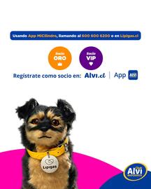 Catálogo Alvi semana 36 Página 3