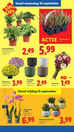 Lidl folder week 37 Pagina 29