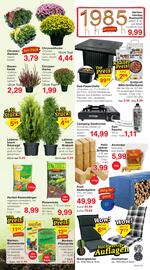 Wiglo Wunderland Prospekt woche 37 Seite 9