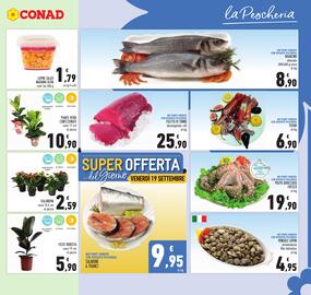 Volantino Conad Pagina 5