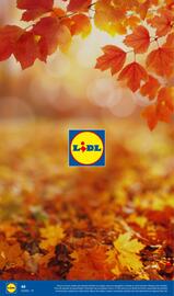 Folheto Lidl | Esmara Página 40