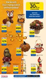 Tesco akciós újság hét 37 Oldal 12