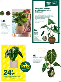 Catalogue Truffaut page 5