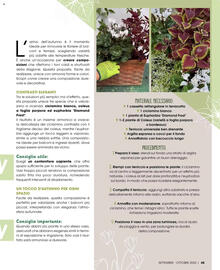 Volantino Elite Pagina 45