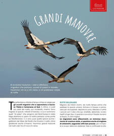 Volantino Elite Pagina 51