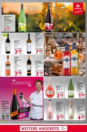 Selgros Prospekt woche 37 Seite 17