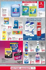 Selgros Prospekt woche 37 Seite 19