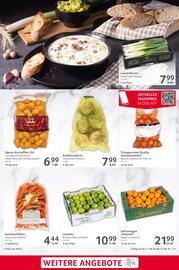 Selgros Prospekt woche 37 Seite 21
