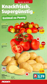 PENNY Prospekt woche 37 Seite 2