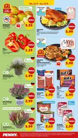 PENNY Prospekt woche 37 Seite 26
