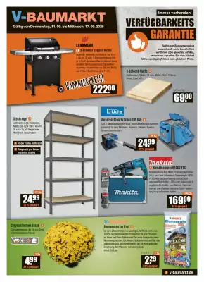 V Baumarkt Prospekt (gültig bis 17-09)