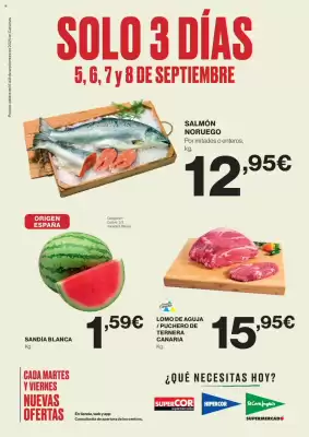 Catálogo Supercor (válido hasta el 8-09)