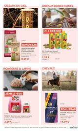 Tom&Co folder Pagina 5