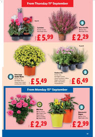 Lidl leaflet week 37 Page 25