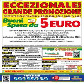 Volantino Iper Triscount Pagina 20