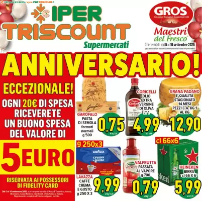 Volantino Iper Triscount (valido fino al 16-09)