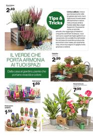 Volantino In'S Mercato Pagina 16