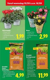 Lidl folder week 37 Pagina 25