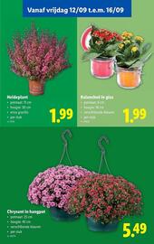 Lidl folder week 37 Pagina 55