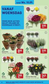 ALDI folder week 37 Pagina 32