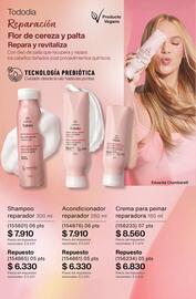 Catálogo Natura Página 241