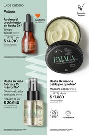 Catálogo Natura Página 250