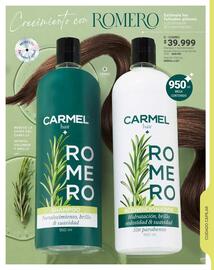 Catálogo Carmel Página 147