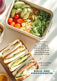Louis Delhaize folder Pagina 13