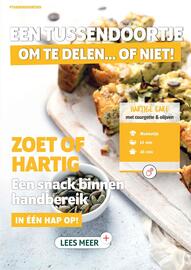 Louis Delhaize folder Pagina 16