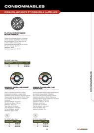 Catalogue Prolians page 59